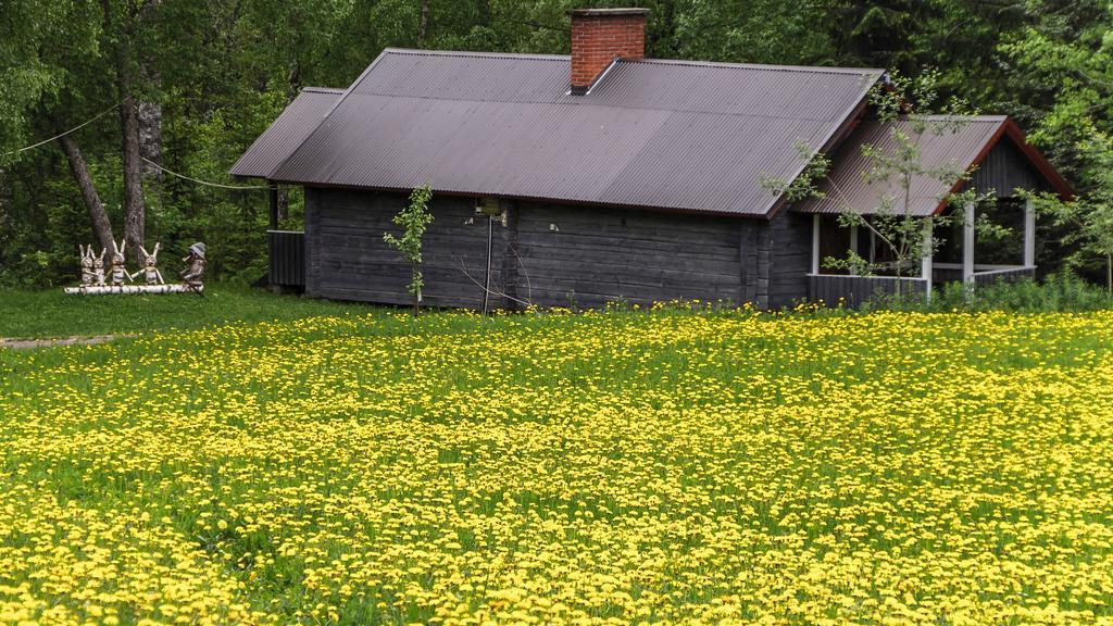 Rajan Loma Cottages Joensuu Exterior foto